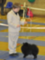 9 years Best junior handler spire open show