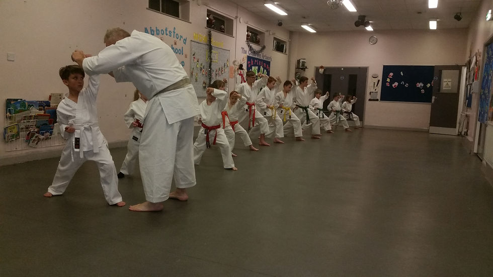 Ilkeston Karate Kids 1