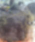 super_root_fielder