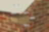 corbe-MO