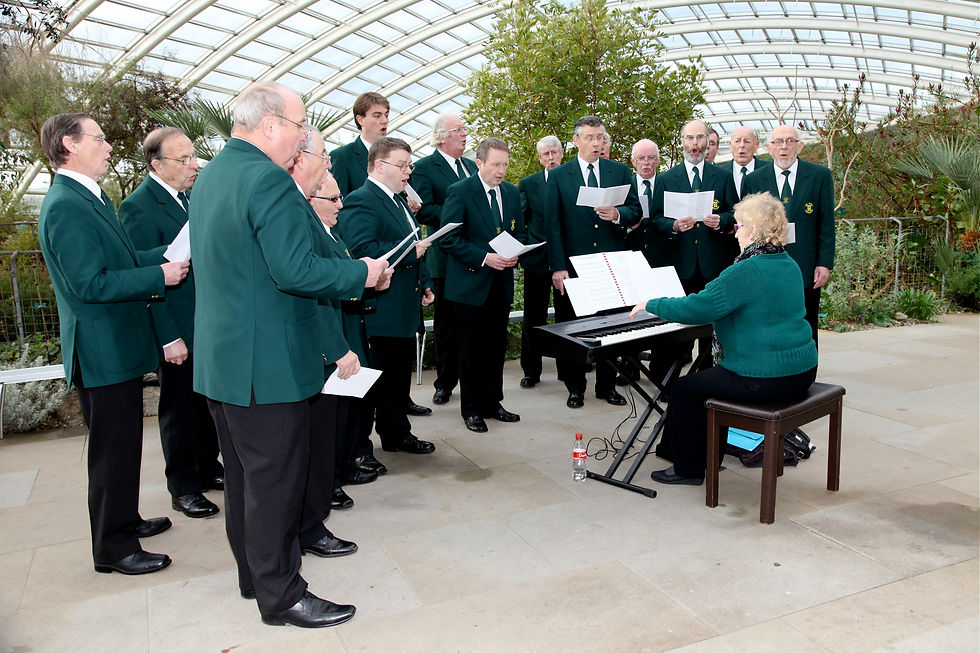 Great Glasshouse 20 Dec 2014