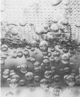 coalesced water droplets