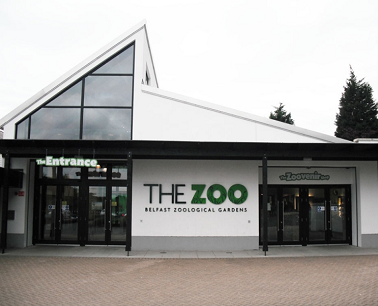 belfast zoo