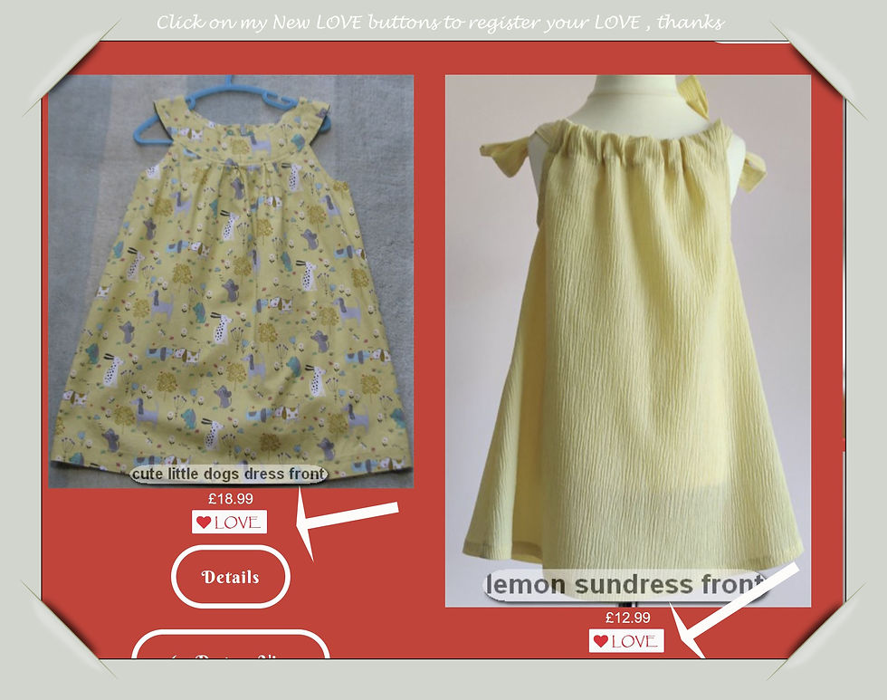 small business sunday award by theo paphitis by and for serendipity girls designer dresses business brand