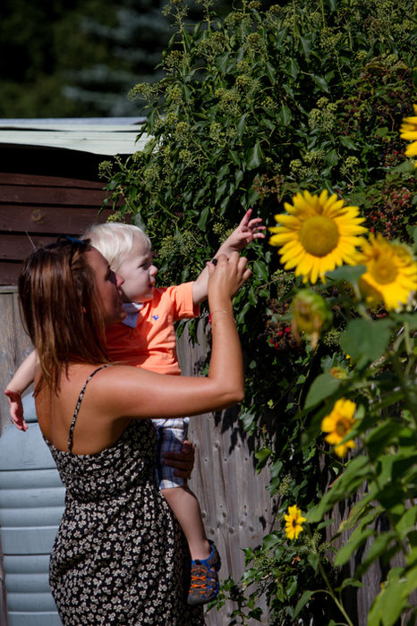 An adult and child looking at sunflowers