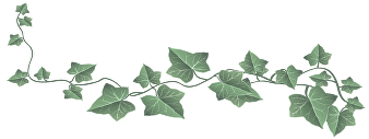 Vine-for-web-3