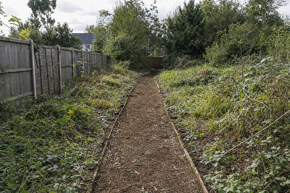 A narrow woodland path bordered by dense greenery and a tall fence leads towards a distant house.