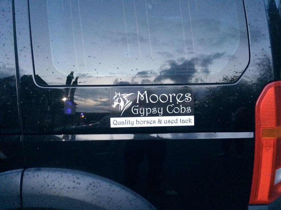 Car magnet-Moores Gypsy Cobs-Back