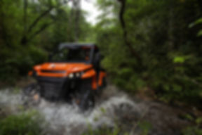 Corvus Terrain DX4 CAB EPS off-road utility vehicle