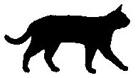 bwcalifspangled