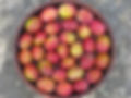 4632837715.jpg