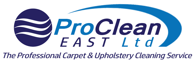 PROCLEAN-LOGO-TRIMMED