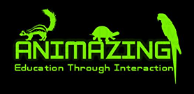 ANIMAZING LOGO