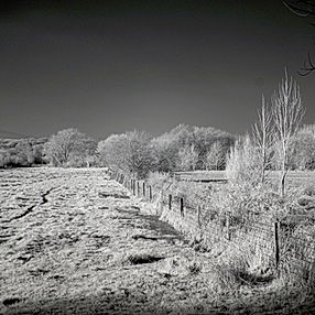 Sony Nex 6 850nm Conversion 16-50 Kit Lens BW.jpg