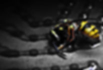 Pest Control Near Yateley