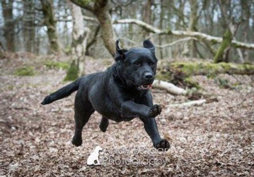 Andy Biggar Photography Ltd-28web