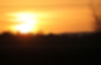 10954872533_e618d8998e_o