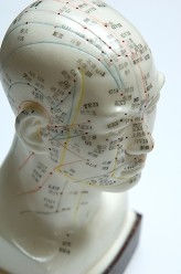 head