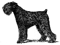 4516634091.gif