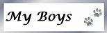 my boys2 but (640x213)