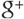 Google + black small