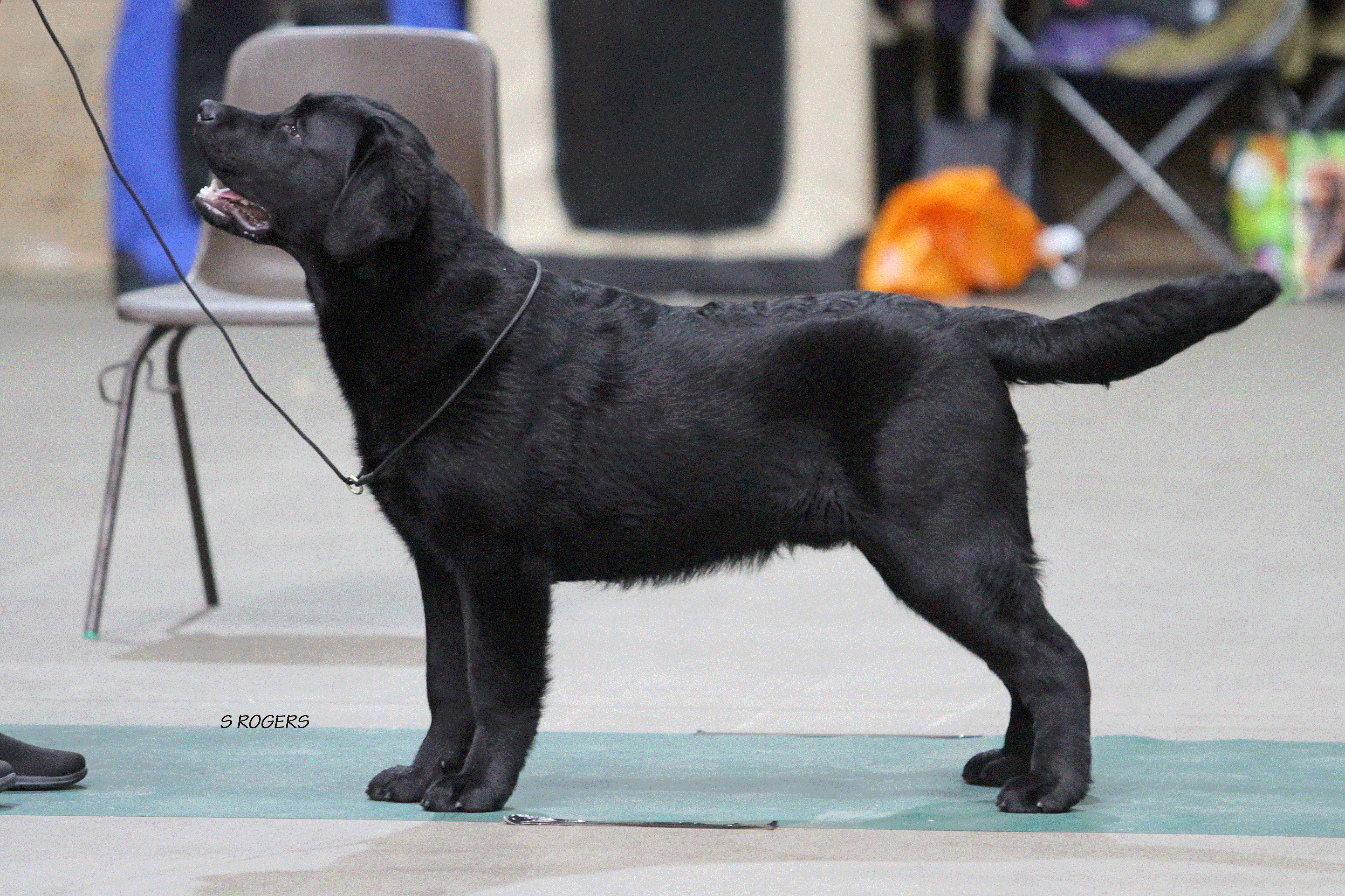 2019 03 31_1218_naiken east meets west (A.I.) copy