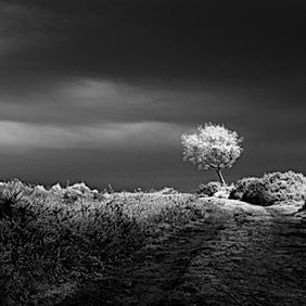 Julian Greaves Full Spectrum Canon EOS M5 with EFM15-45 Lens.jpg