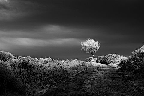 Julian Greaves Full Spectrum Canon EOS M5 with EFM15-45 Lens.jpg