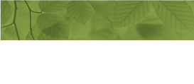 Leaf-Background---Half-ai