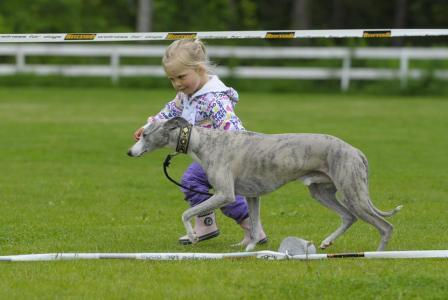 Show today 23.06.12 Stella 2.5 Years Old! Young ha