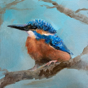 Kingfisher sitting on a branch