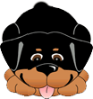 4515753439.gif