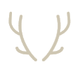 County Carpets stag branding