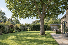 A large tree shades a well-maintained garden with a patio and outdoor dining area beside a brick house.