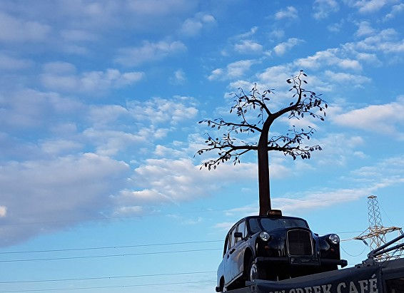 cab with a tree