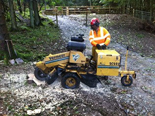 stump grinding