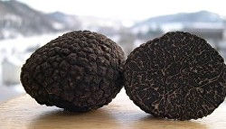Truffles