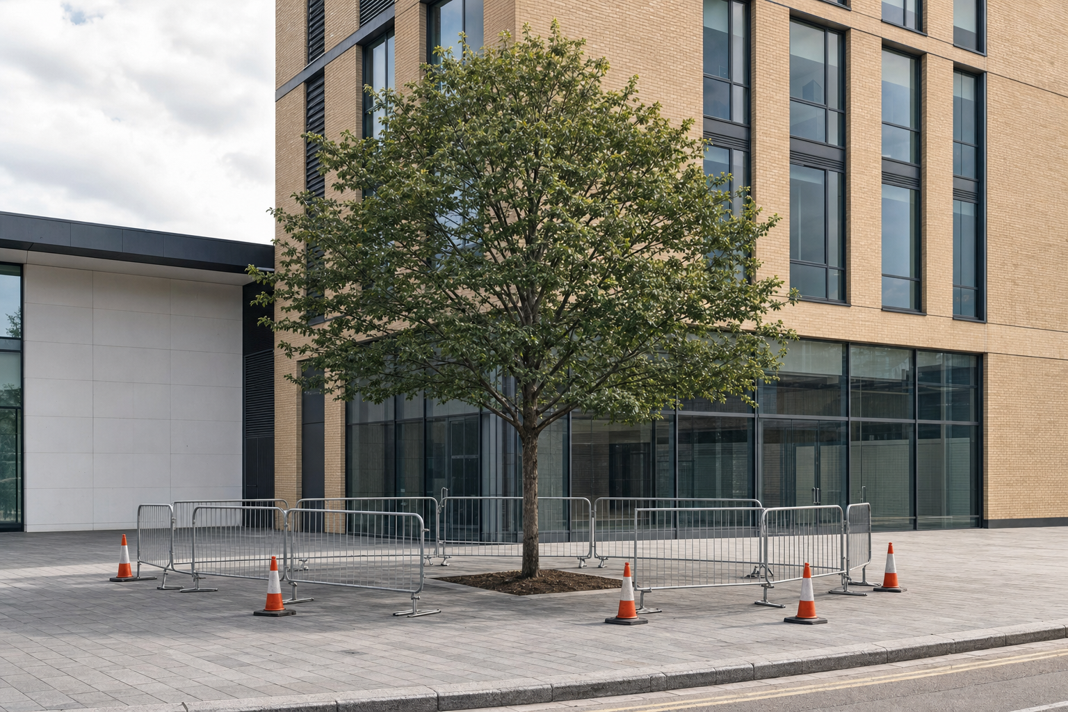 Commercial Tree Services