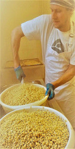 making-tempeh-uk-mixing-starter-culture
