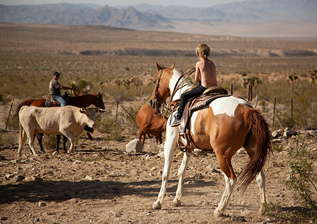 lastdesertcowboy-6.jpg