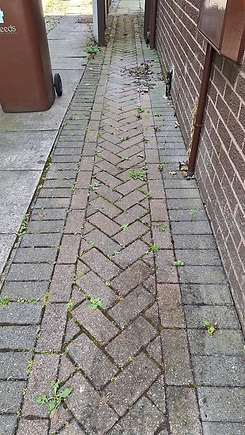 walking path that need to be cleaned