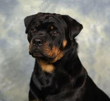 566100_4939721732129_1662931723_n