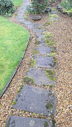 garden and patio which is dirty