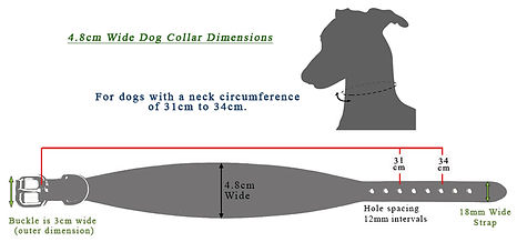 Leather collar 4.8cm wide for Whippets.jpg