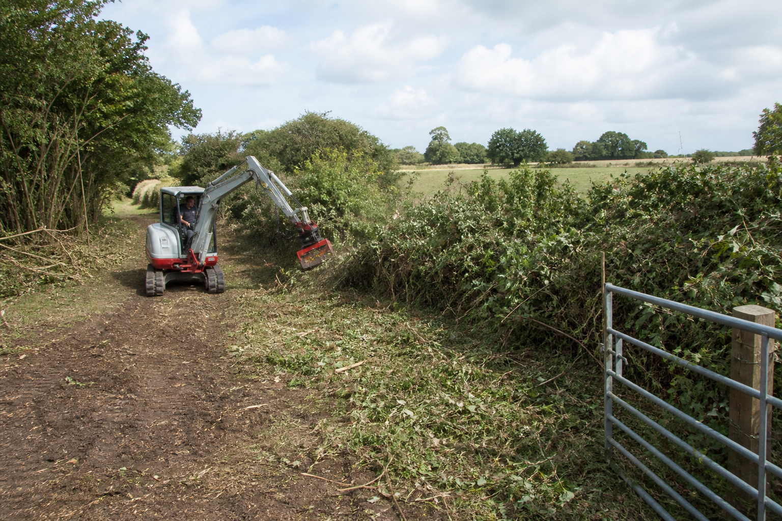 Site Clearance in Buckinghamshire: When Overgrown Ground, Access Routes and Working Areas Need Professional Attention