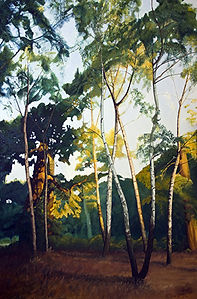 Old Oaks and Silver Birch, 64cm x 88cm
