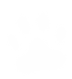 paw
