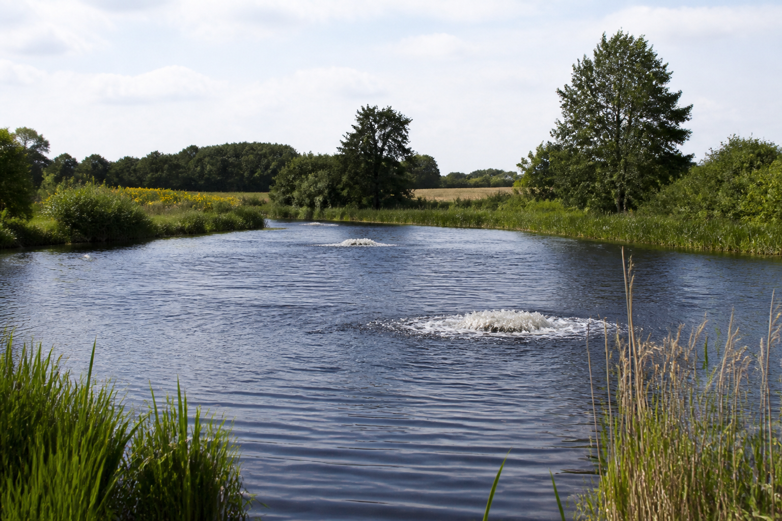 Lake and Pond Aeration: 6 Signs Your Waterbody May Need Aeration and Water Balancing