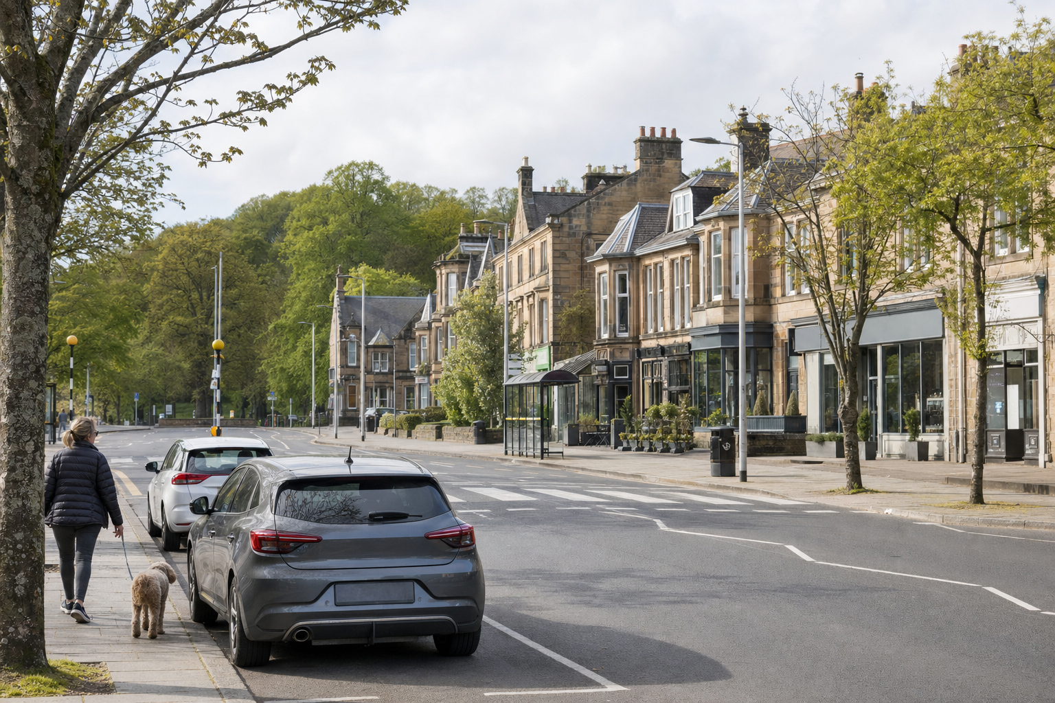 A person walks a dog along a tree-lined street with parked cars and historic stone buildings.