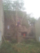 1098372_578475528865549_813423930_n